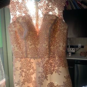 Blush colored, embroidered tulle gown